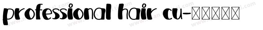professional hair cu字体转换